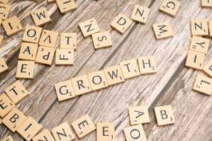 Insights from Successful Growth Frameworks