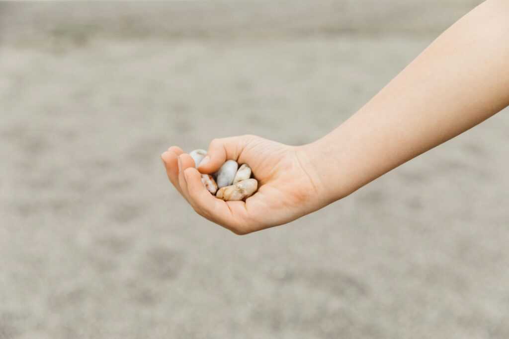 Mastering Fundraising Techniques for Business Growth
