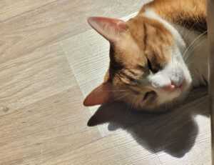 business updates aggr8finance