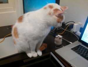 news business aggr8finance