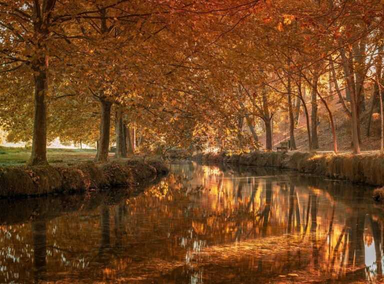 la pagina azul mujeres