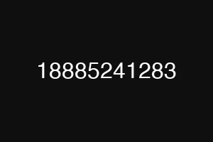 18885241283