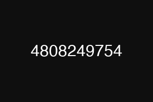 4808249754