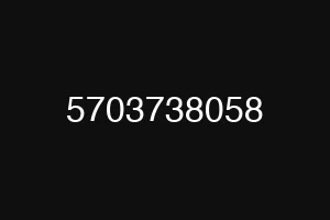 5703738058