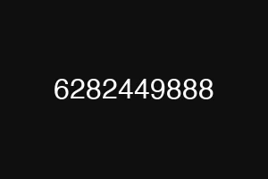 6282449888