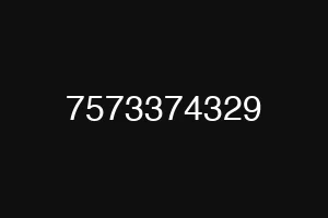 7573374329