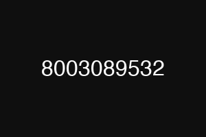 8003089532
