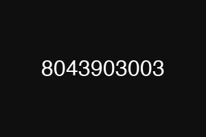 8043903003