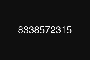 8338572315