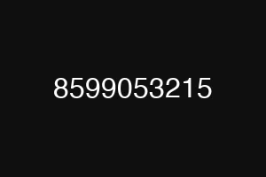 8599053215