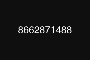 8662871488