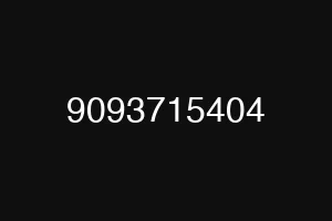 9093715404