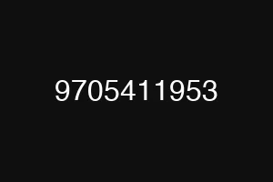 9705411953