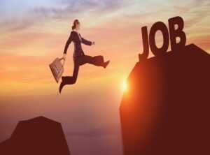 What Can I Do to Optimize My Business Gscbizness