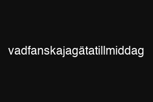 vadfanskajagätatillmiddag